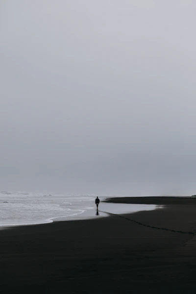 Beach return — Lucia walks into shallow waves at dusk. Wide frame, small figure against vast ocean. The horizon line splits the frame.