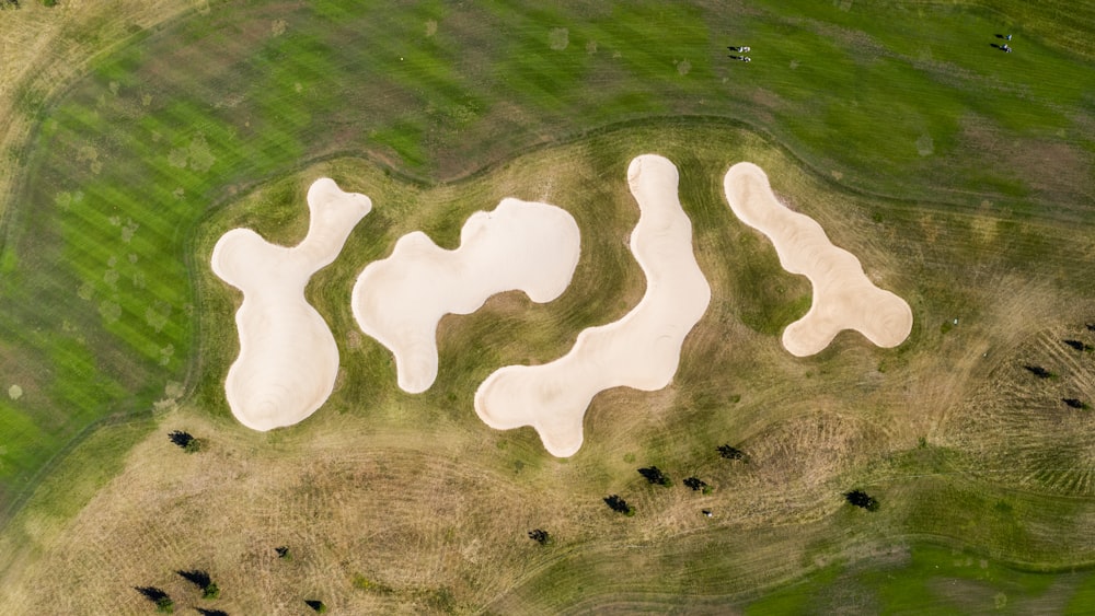 golf course surrounded by grass