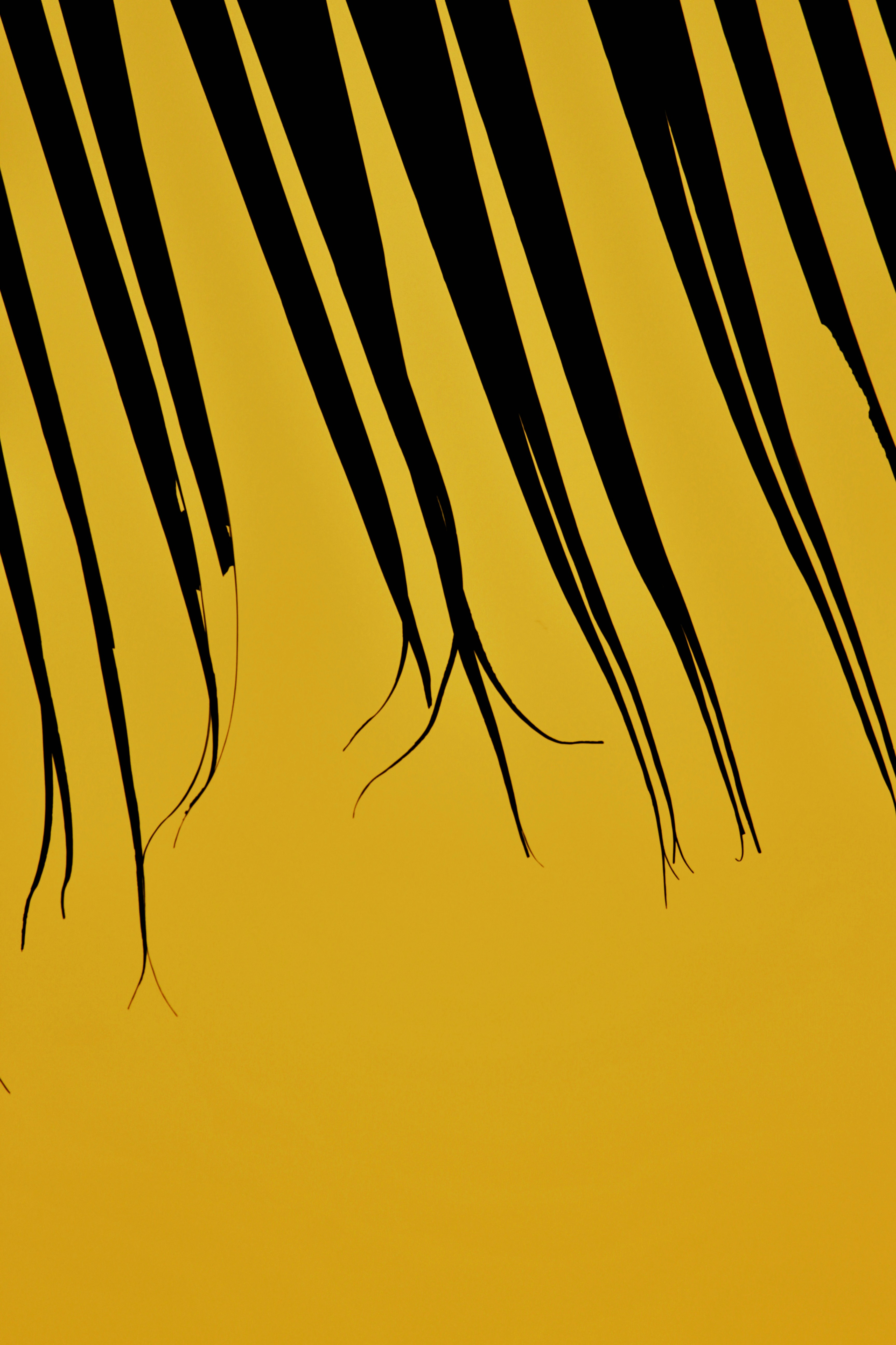 Photo by aniketh_kanukurthi