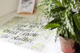 A potted plant with lush green leaves is placed on a table next to a piece of paper with calligraphic text. The text reads 'Trust the next chapter because I know the author.' In the background, there is a blurred framed art piece.