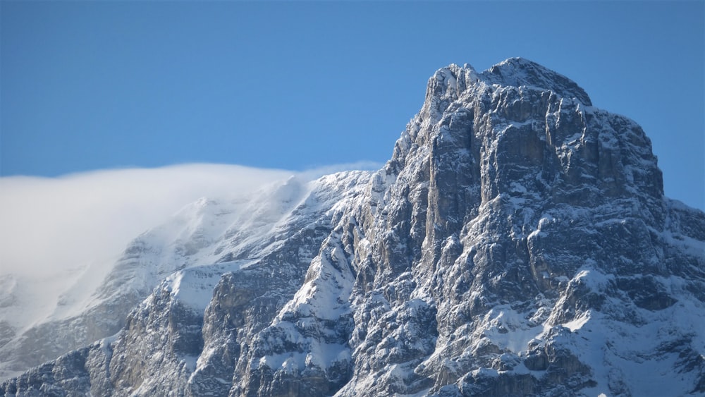 Foto einer Alpen bei Tag