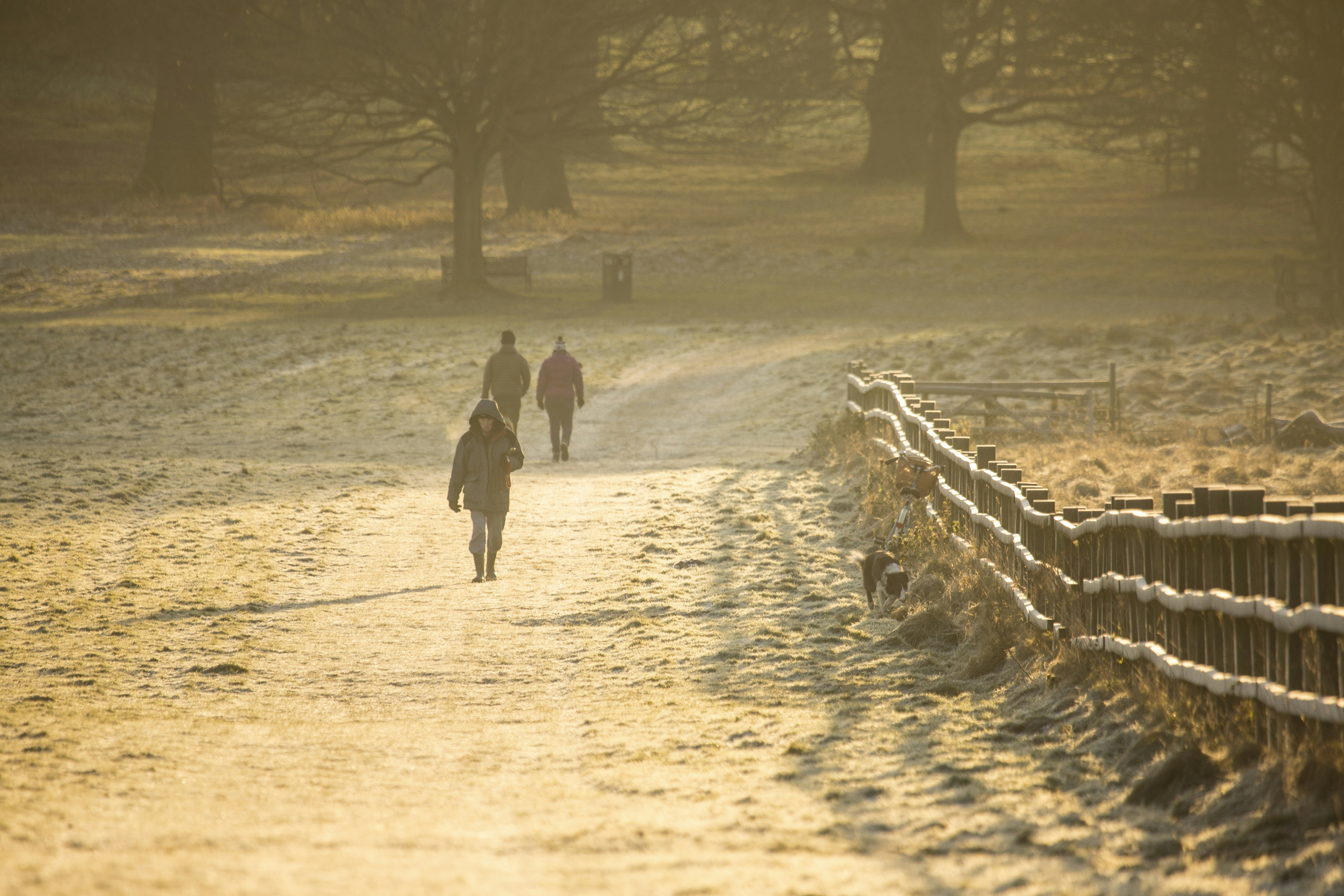 A frosty Winter walk in England.