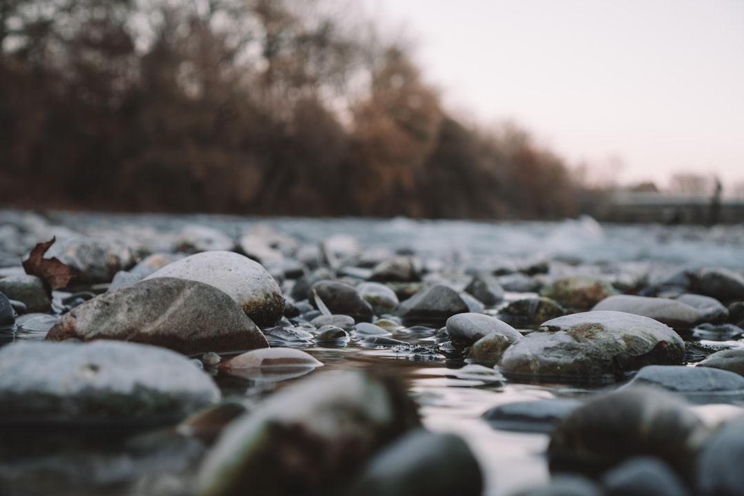 shallow focus of pebbles