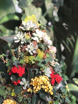 A vibrant arrangement of various succulents, ivy, and moss. Red, yellow, and white flowers add bursts of color to the green foliage. The composition is lush and layered, with a tree-like structure of leaves and plants.
