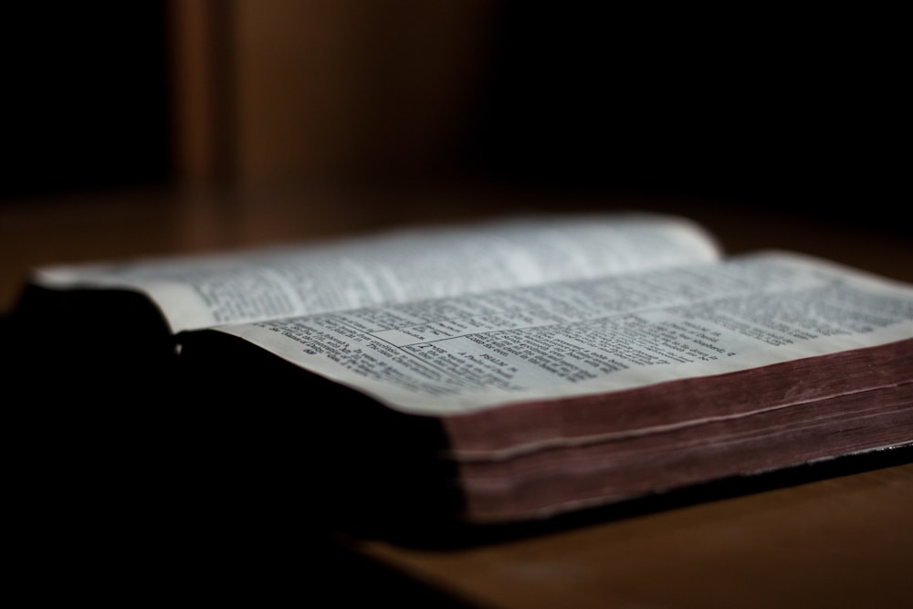 open book on brown wooden surface