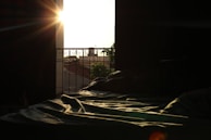 Morning light filtering through sheer curtains onto a rumpled bed with a half-opened poetry book.