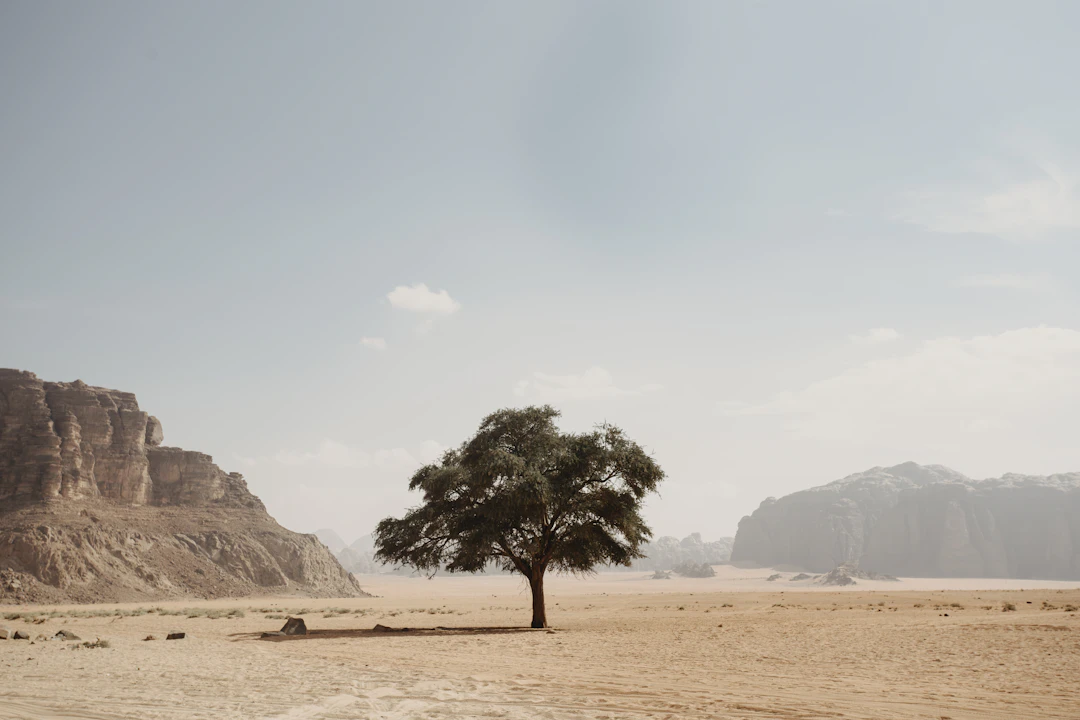 3-Day Wadi Rum Family Itinerary: Epic & Relaxed