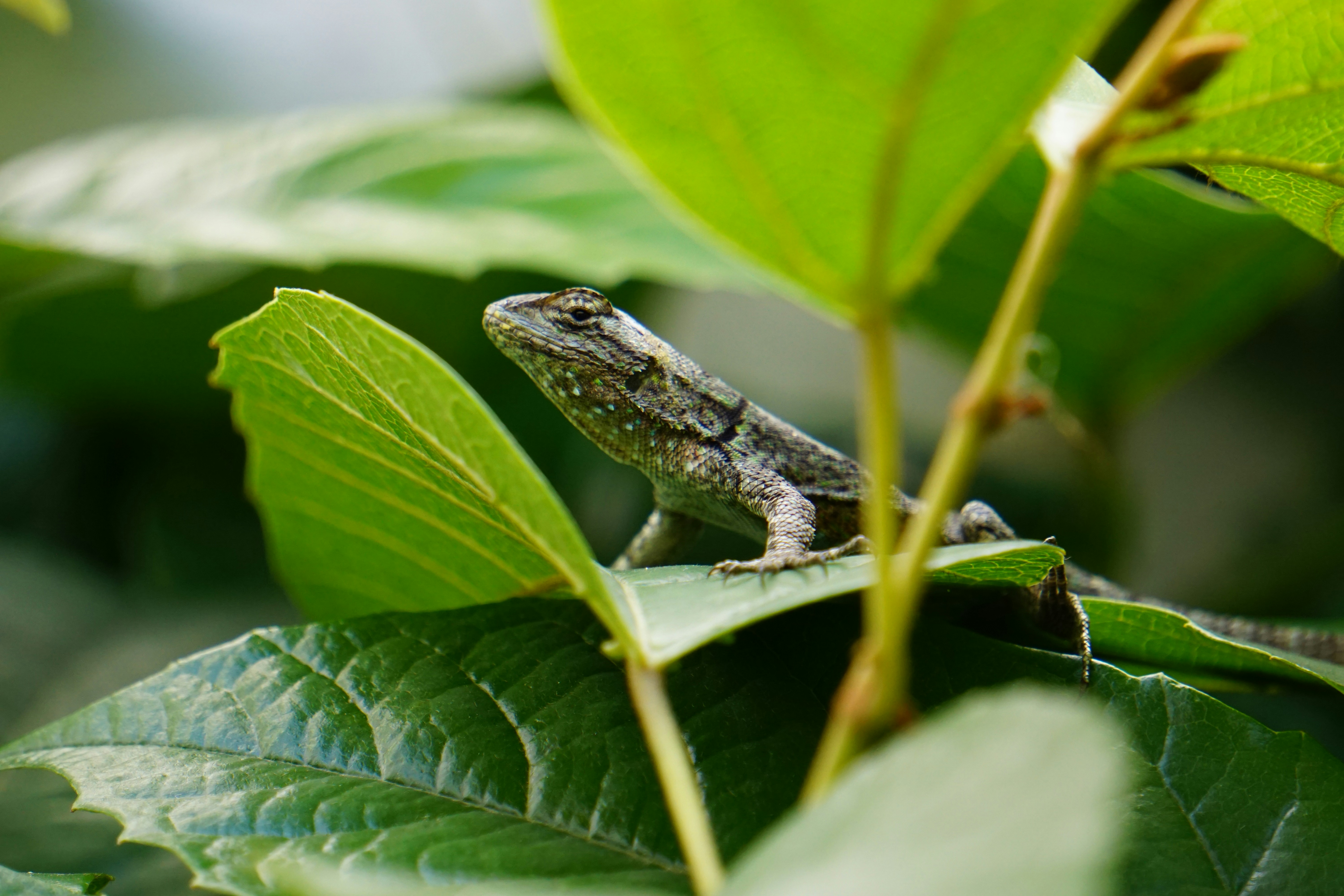 Photo by patriciodavalos