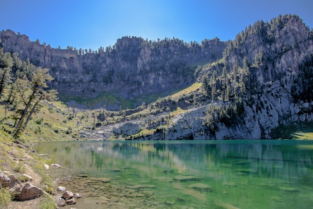 calm water beside mountain and trees at daytime