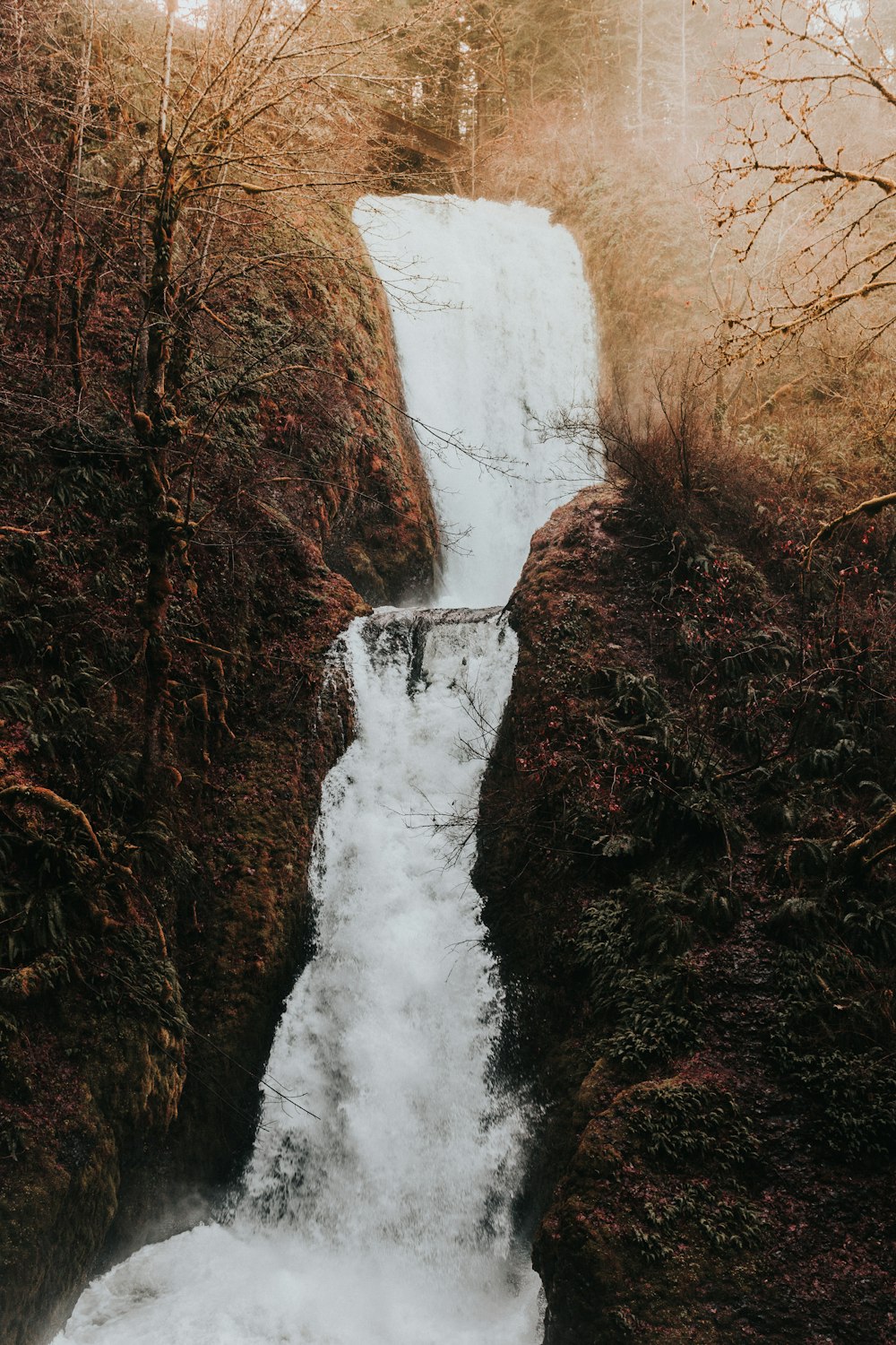 tree covered waterfall at daytime