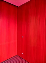 Vibraloom mid-renovation, painting a wall in a stylish dark burgundy shade that matches the website’s palette.