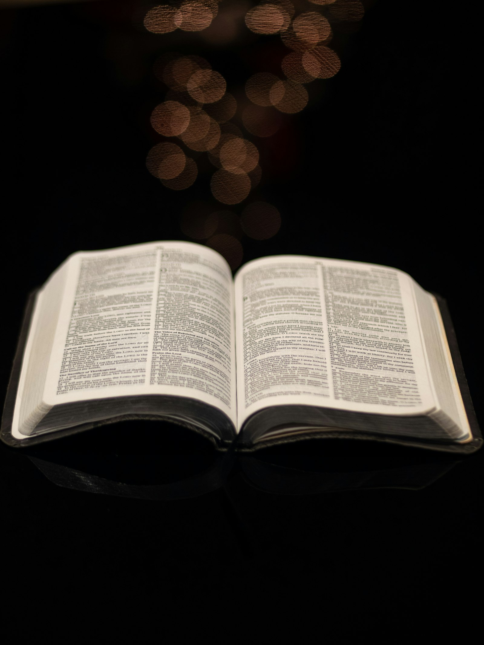 Panasonic Lumix G 42.5mm F1.7 ASPH Power OIS sample photo. Opened holy bible photography