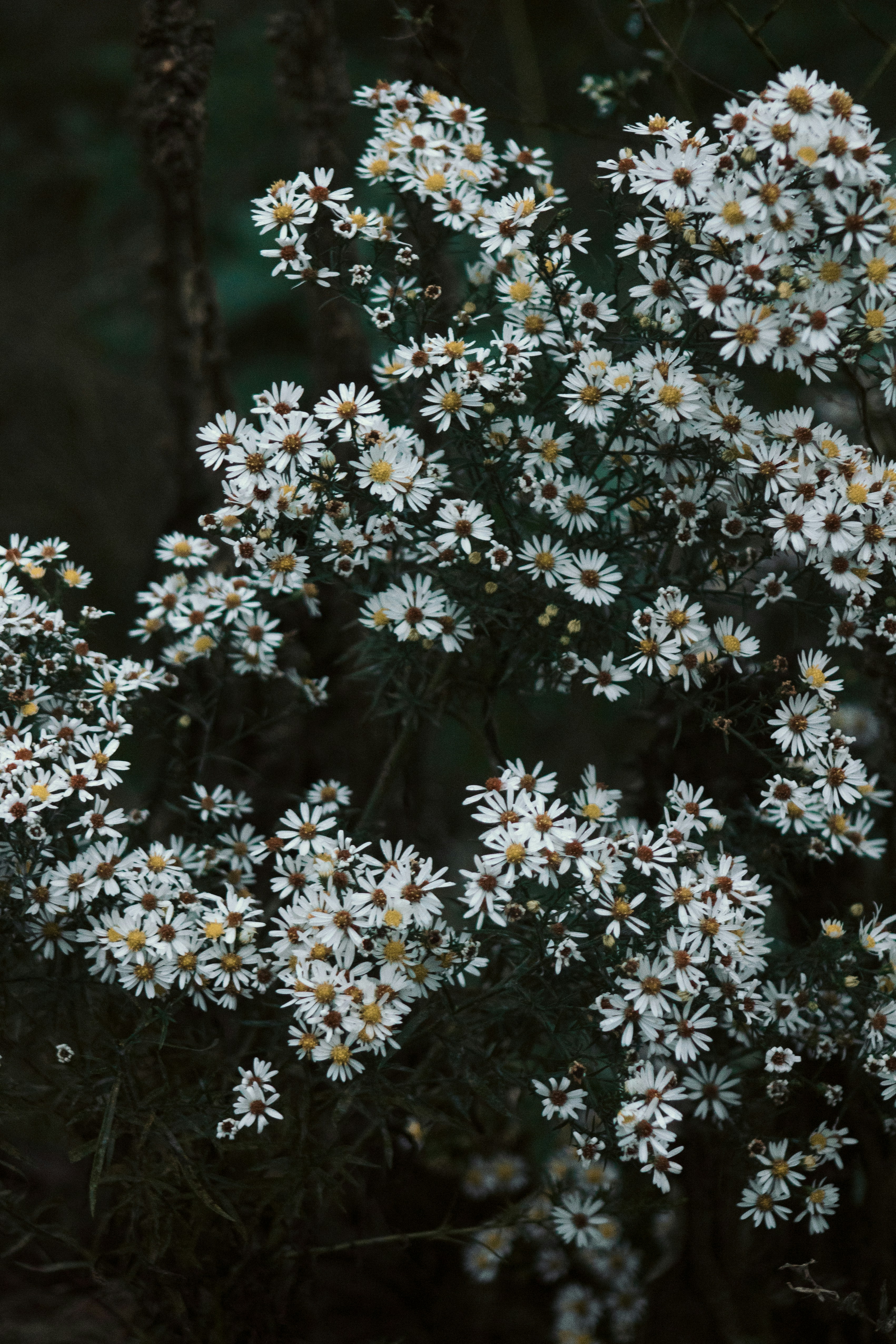 Photo by hayleymurrayphoto