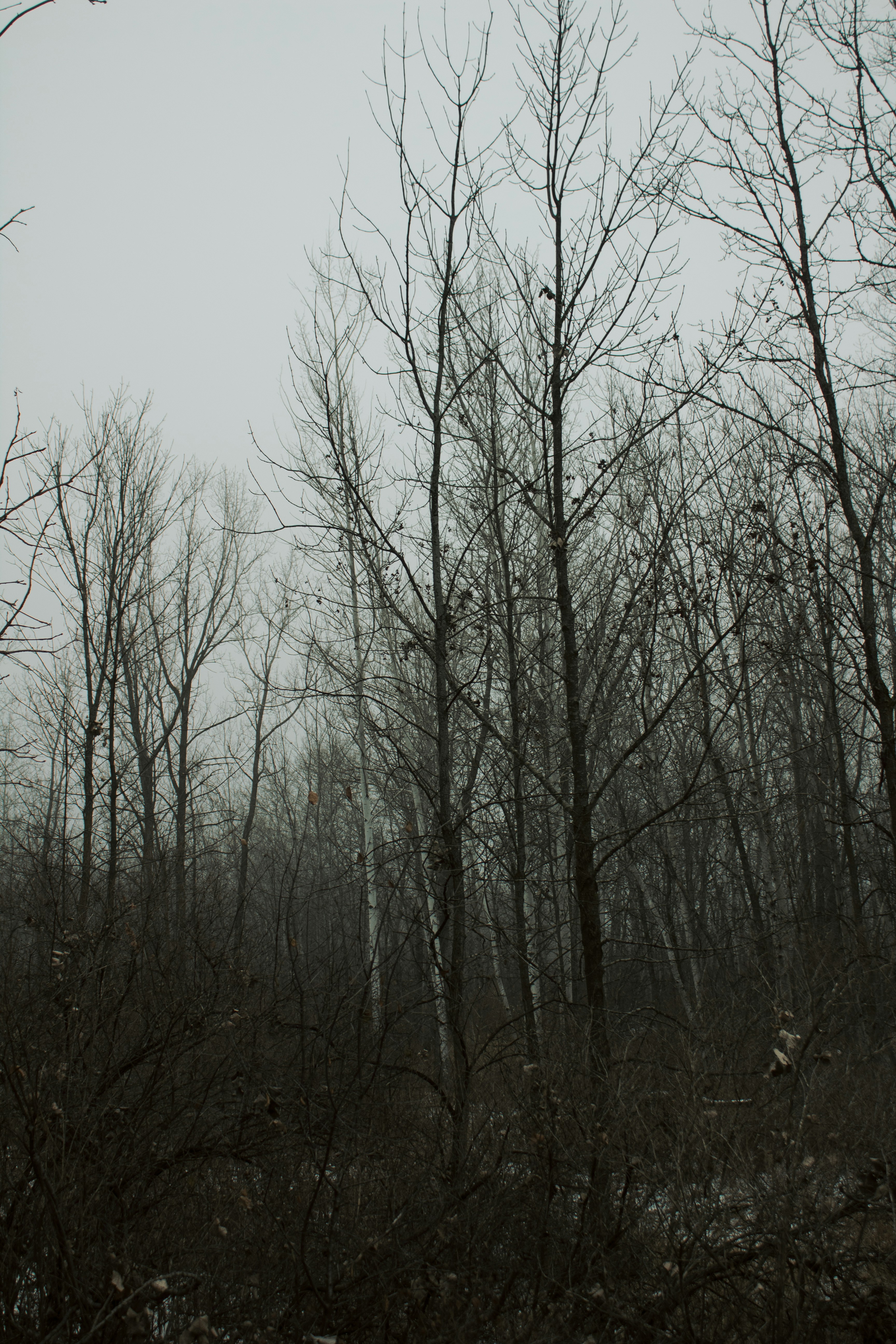 Photo by hayleymurrayphoto