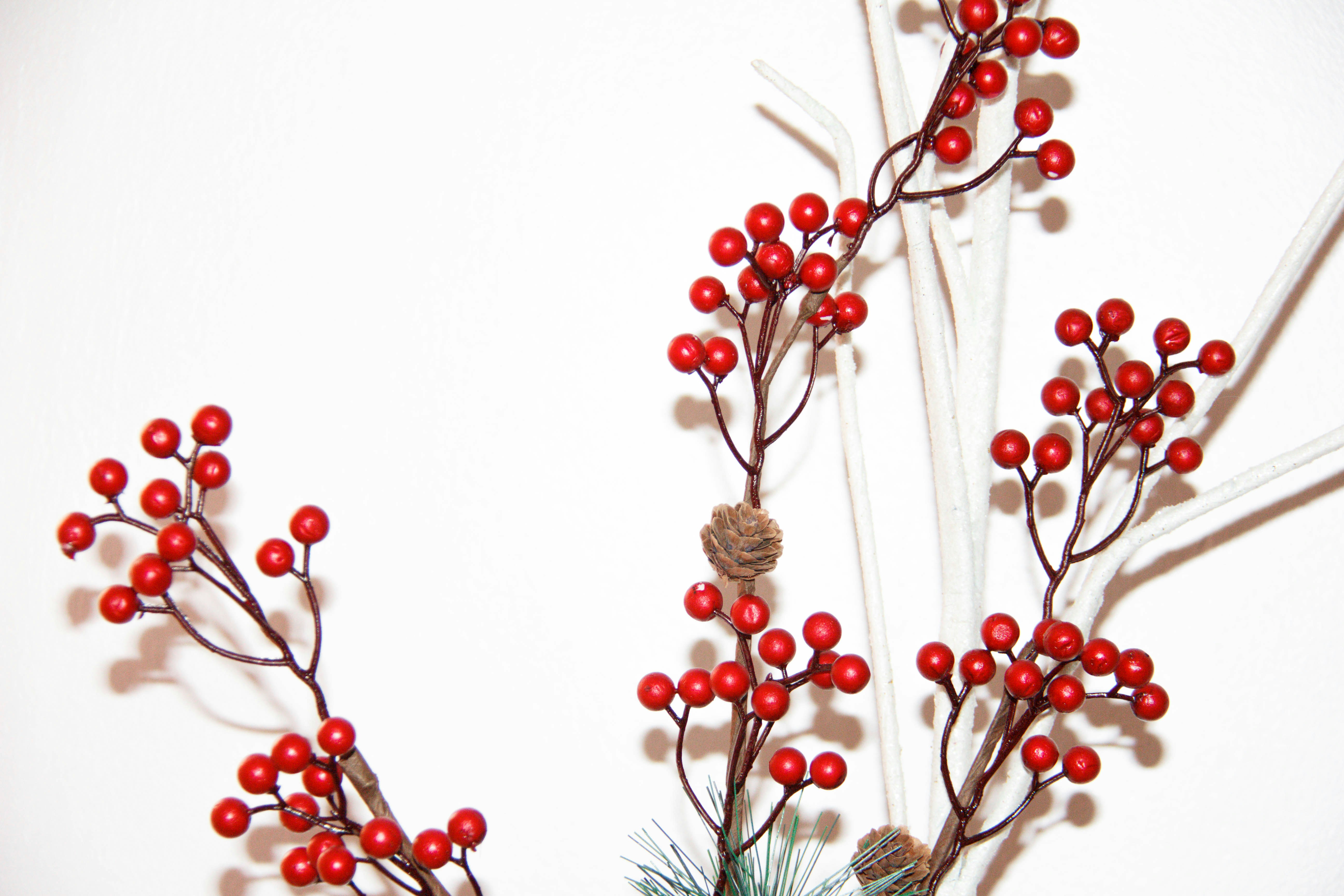 Photo by honeyyanibel