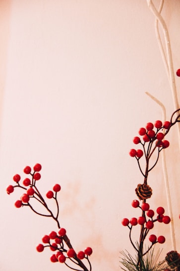 The image features branches with small red berries and a pine cone against a plain beige background. The composition is simple and organic, emphasizing the natural textures and colors of the plant elements.