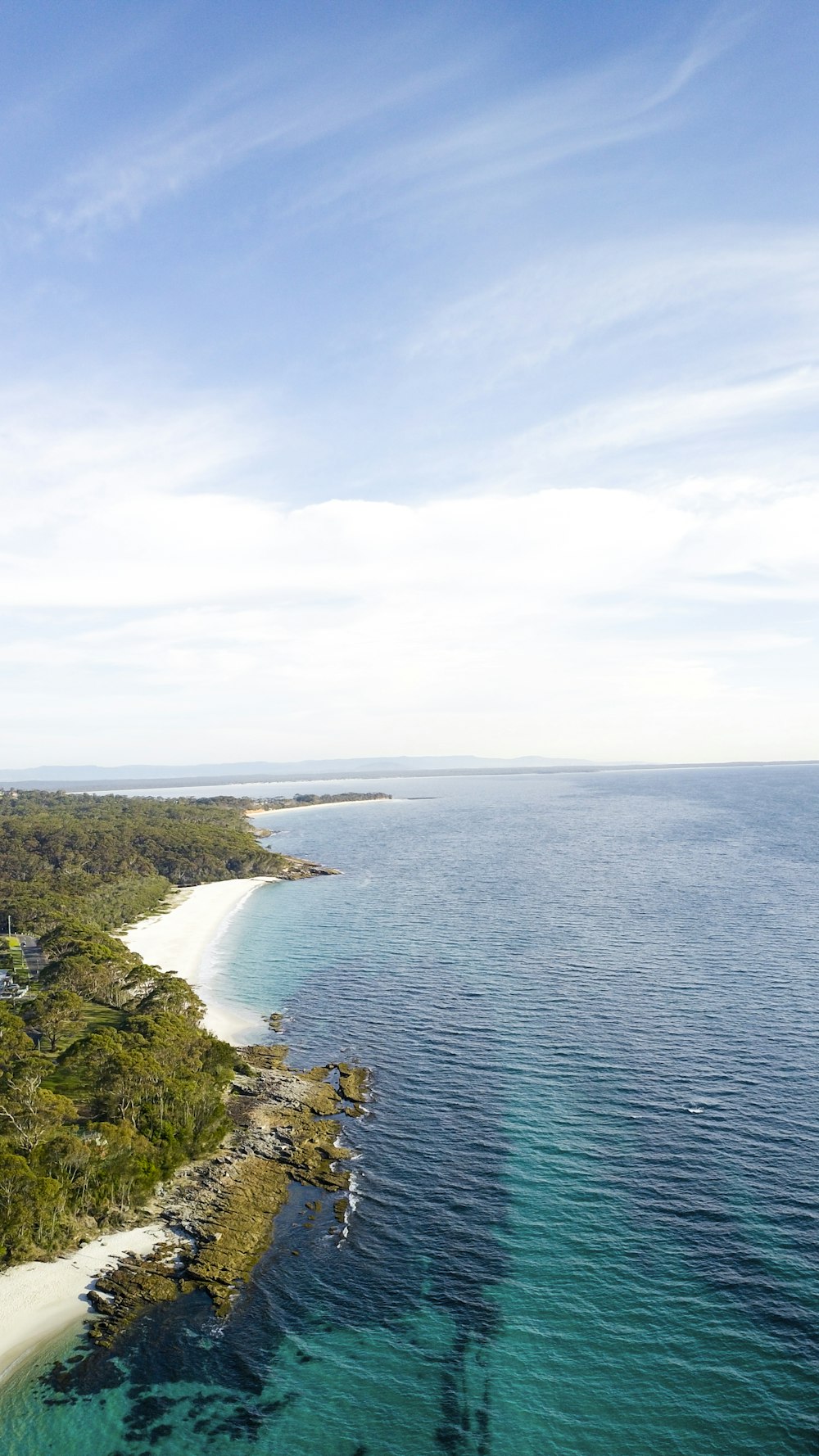 trees and ocean under blue sky