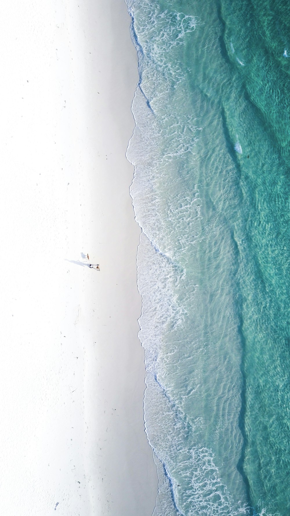 aerial photography of shore during daytime