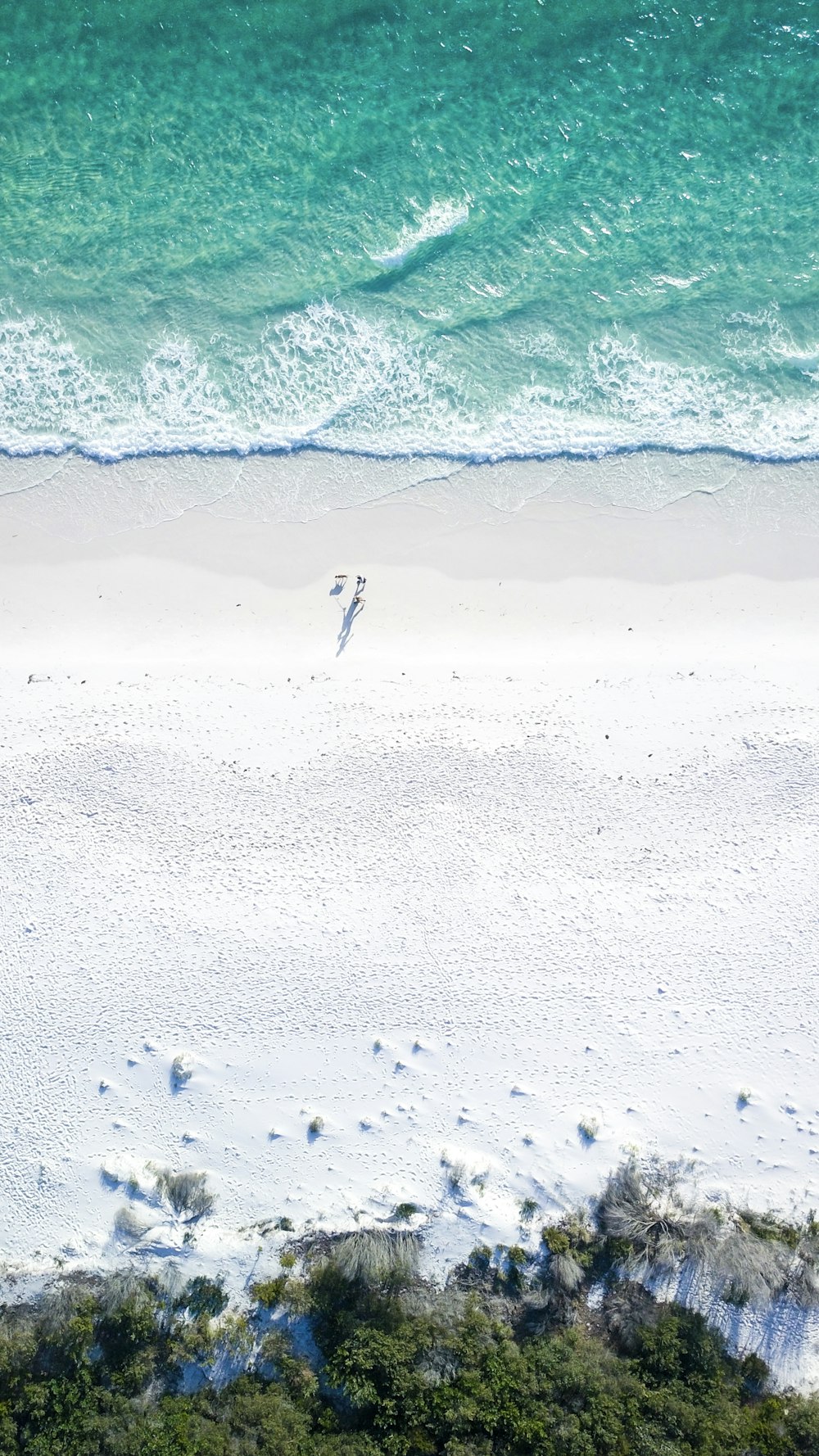 due persone sulla spiaggia durante il giorno