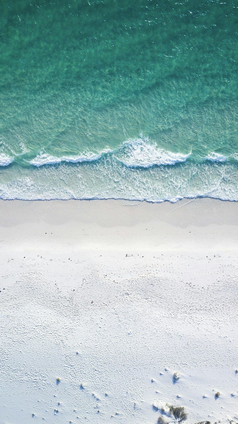 beach during daytime