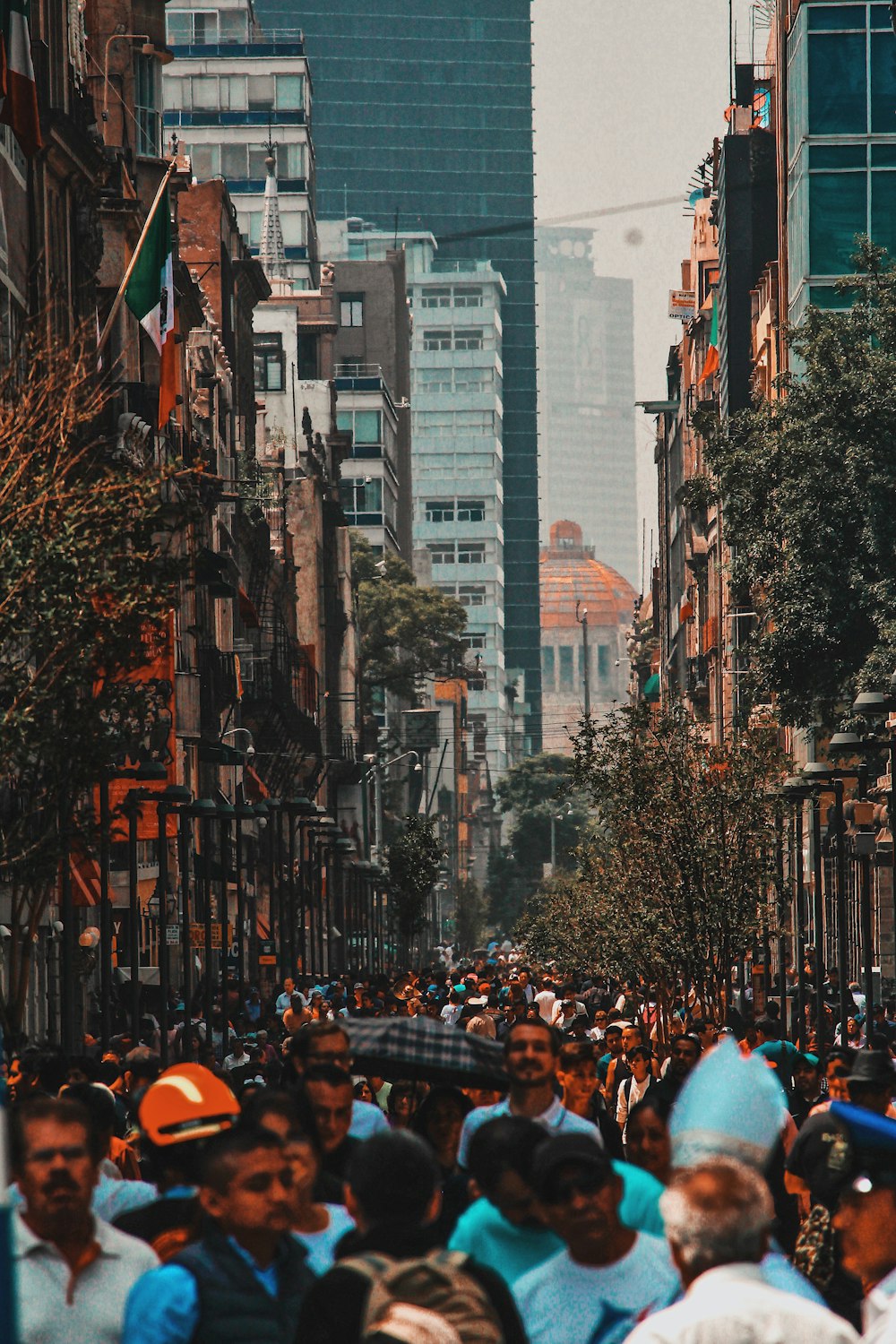 gathering people on street during daytime