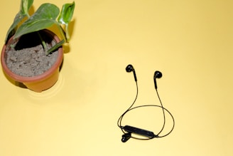 A set of bamboo ear buds placed neatly beside a small potted plant on a white table.