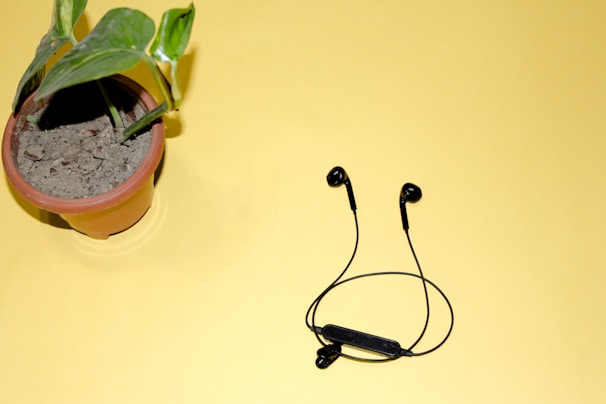 A set of bamboo ear buds placed neatly beside a small potted plant on a white table.