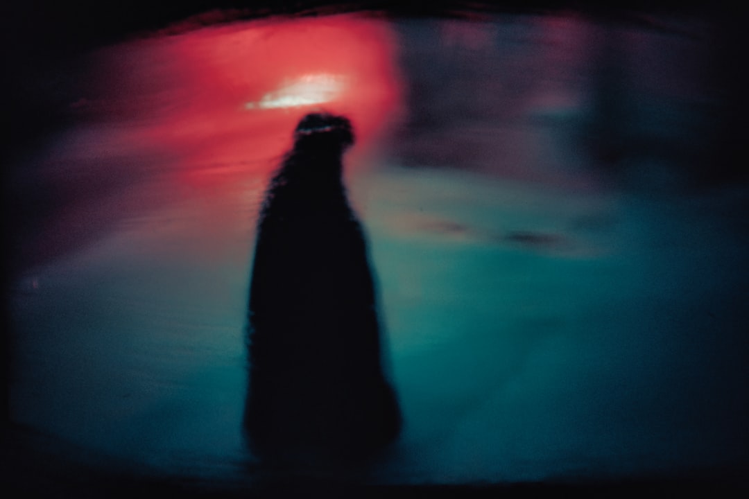 a blurry photo of a person standing in the water, Lonely silhouette in the streets