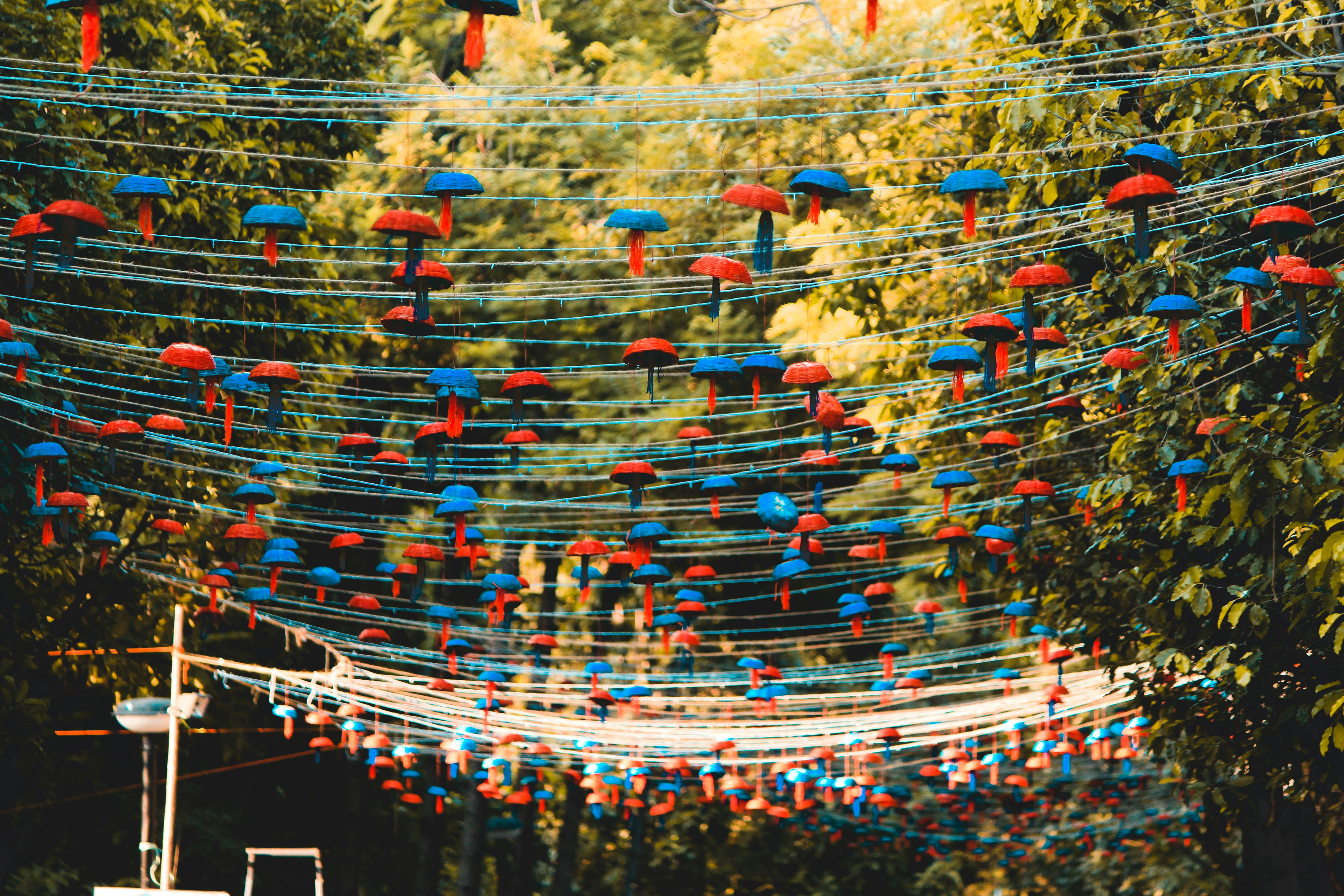 Photo by utkarsh3005