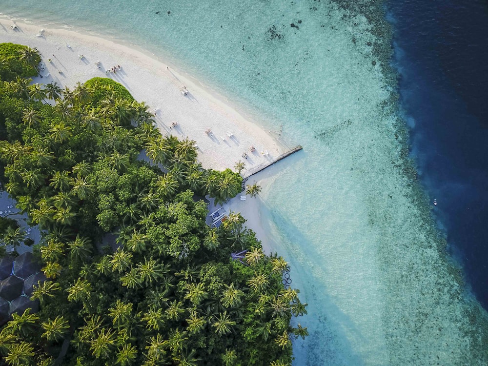 aerial view of beach during daytime