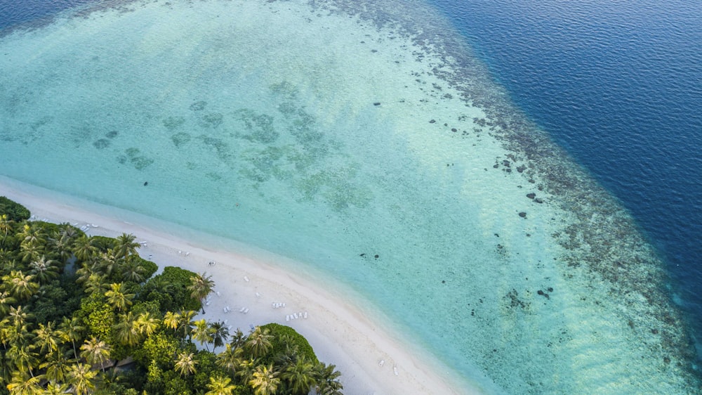 top view of beach during day