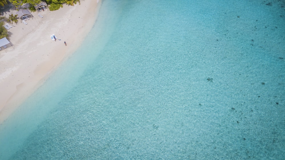 aerial view photography of seashore and beach