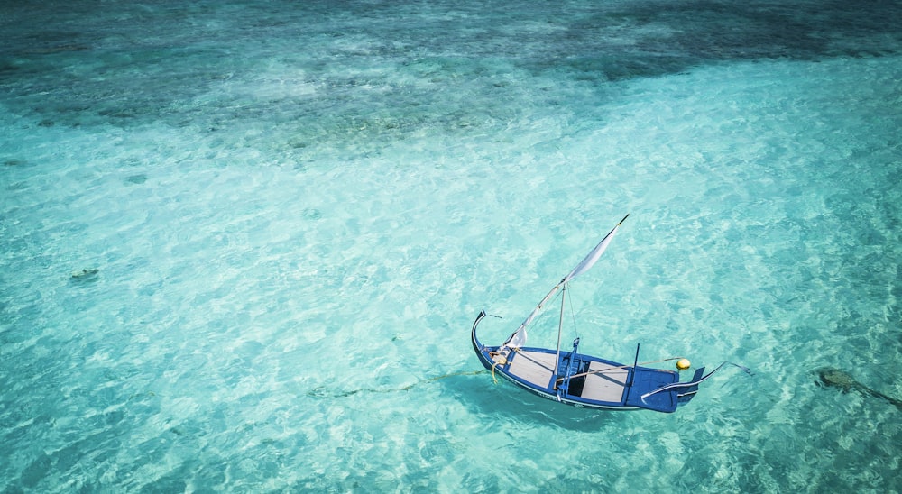 white and blue boat on body of water