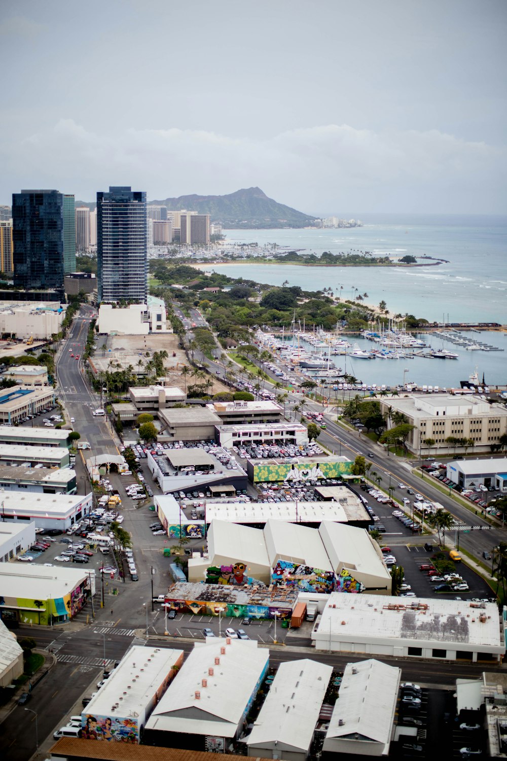 aerial photo of city