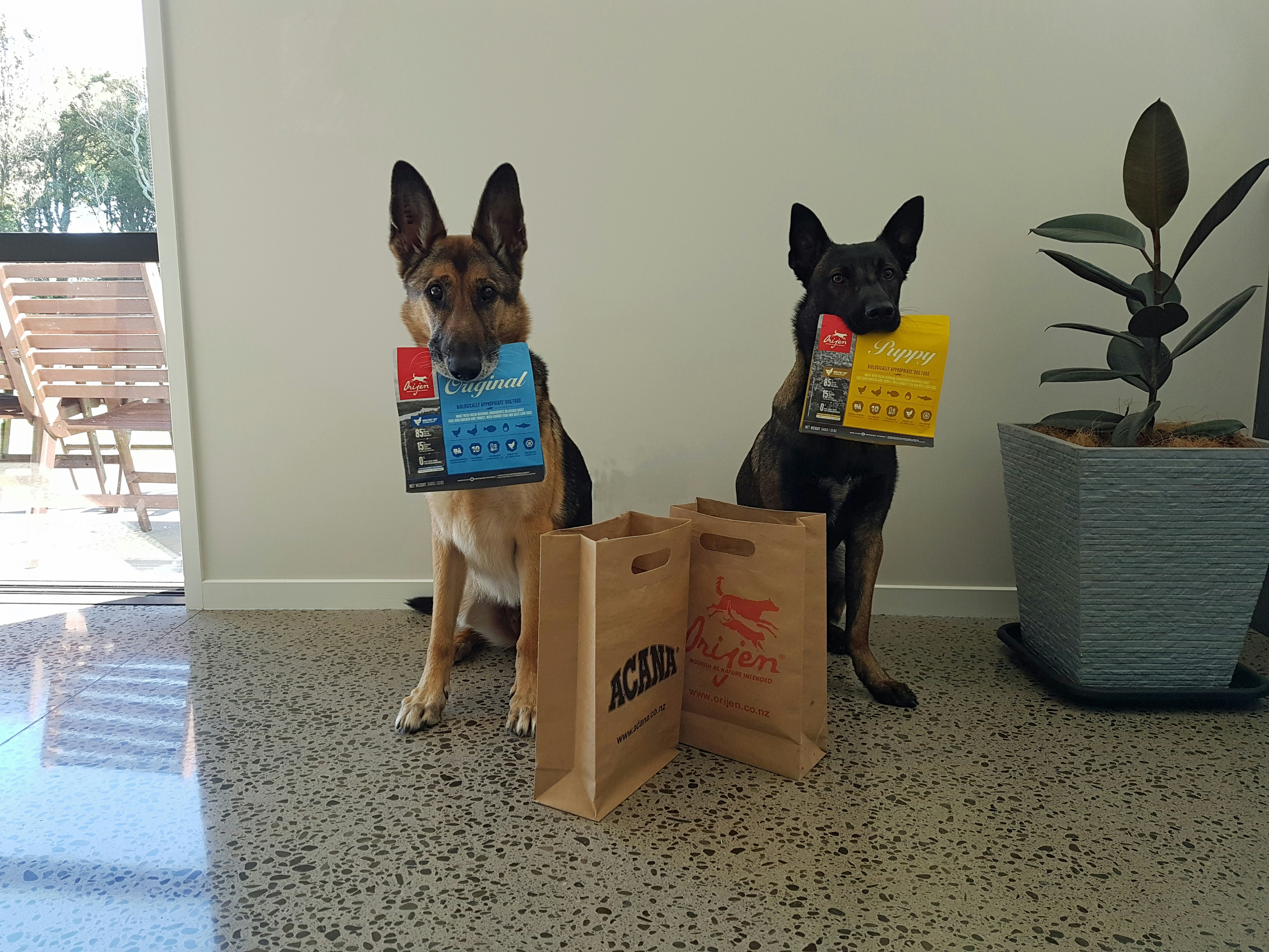 Alimentos para Animais