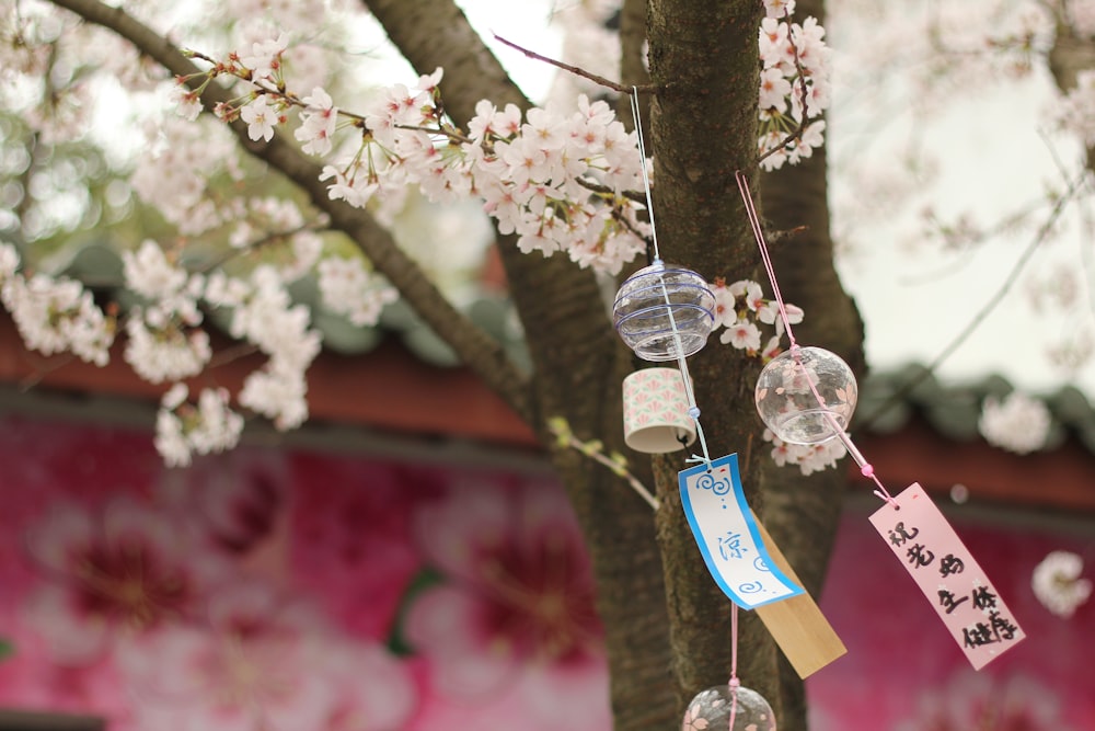 close-up photography of round glasses hanged on tree during daytime