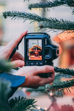 A close-up of a digital camera being held between two hands, capturing an image of a blurred scene that includes soft lights. The frame is surrounded by pine tree branches, suggesting a festive atmosphere. The focus is on the camera's display screen, which clearly shows the scene being photographed.