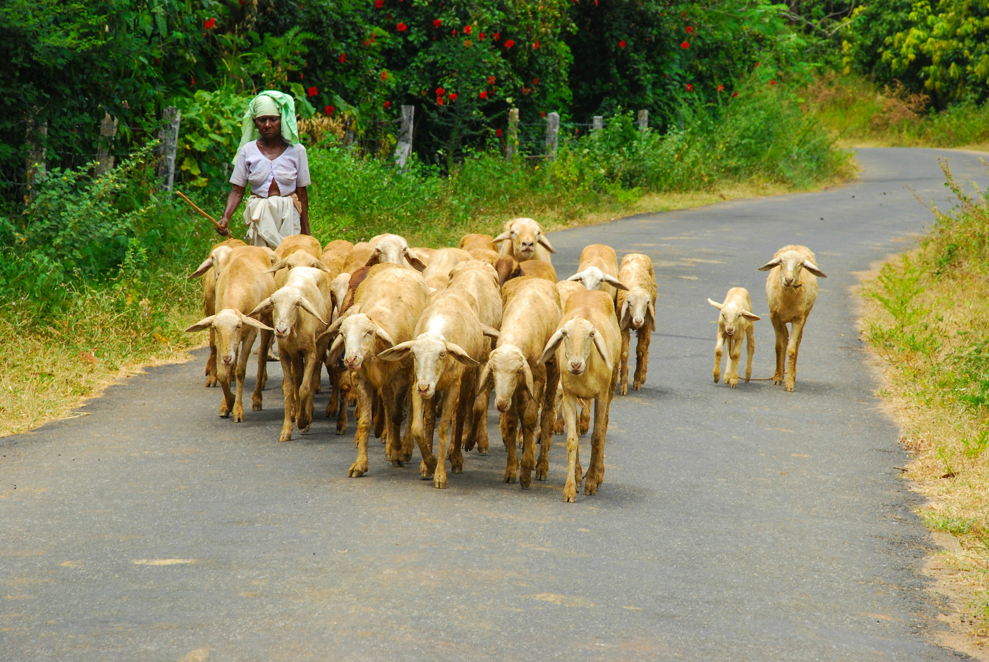 Photo by wilsanphotography