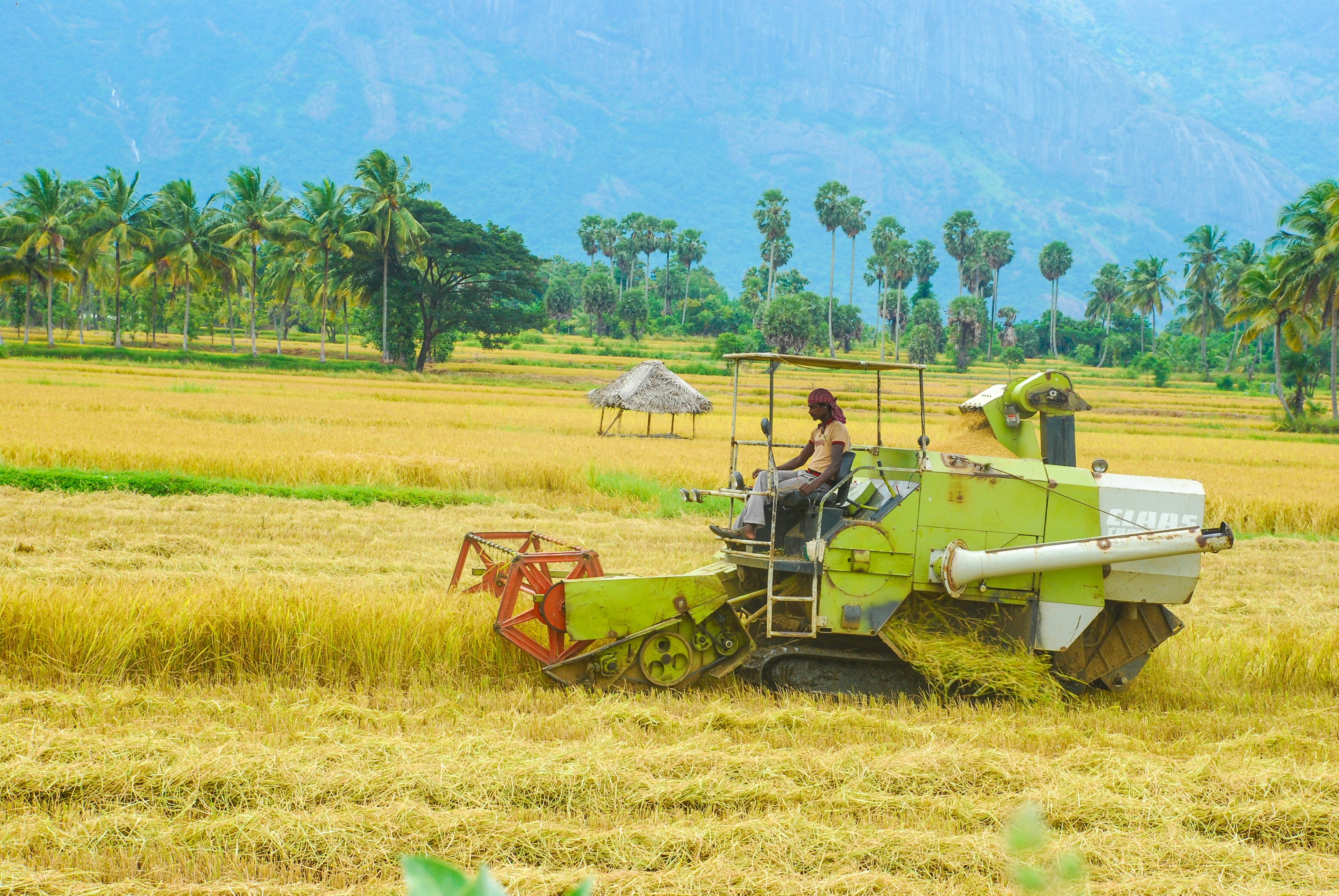 Photo by wilsanphotography