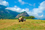 A serene village scene with farmers transporting harvested crops in traditional carts.
