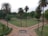 A well-maintained garden featuring tall palm trees, neatly trimmed grass, and pathways dividing the area into sections. The background includes dense trees and a small, arched structure surrounded by greenery.