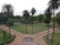 A well-maintained garden featuring tall palm trees, neatly trimmed grass, and pathways dividing the area into sections. The background includes dense trees and a small, arched structure surrounded by greenery.