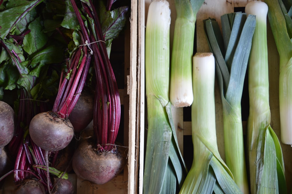 Collage de racines et d’oignons verts