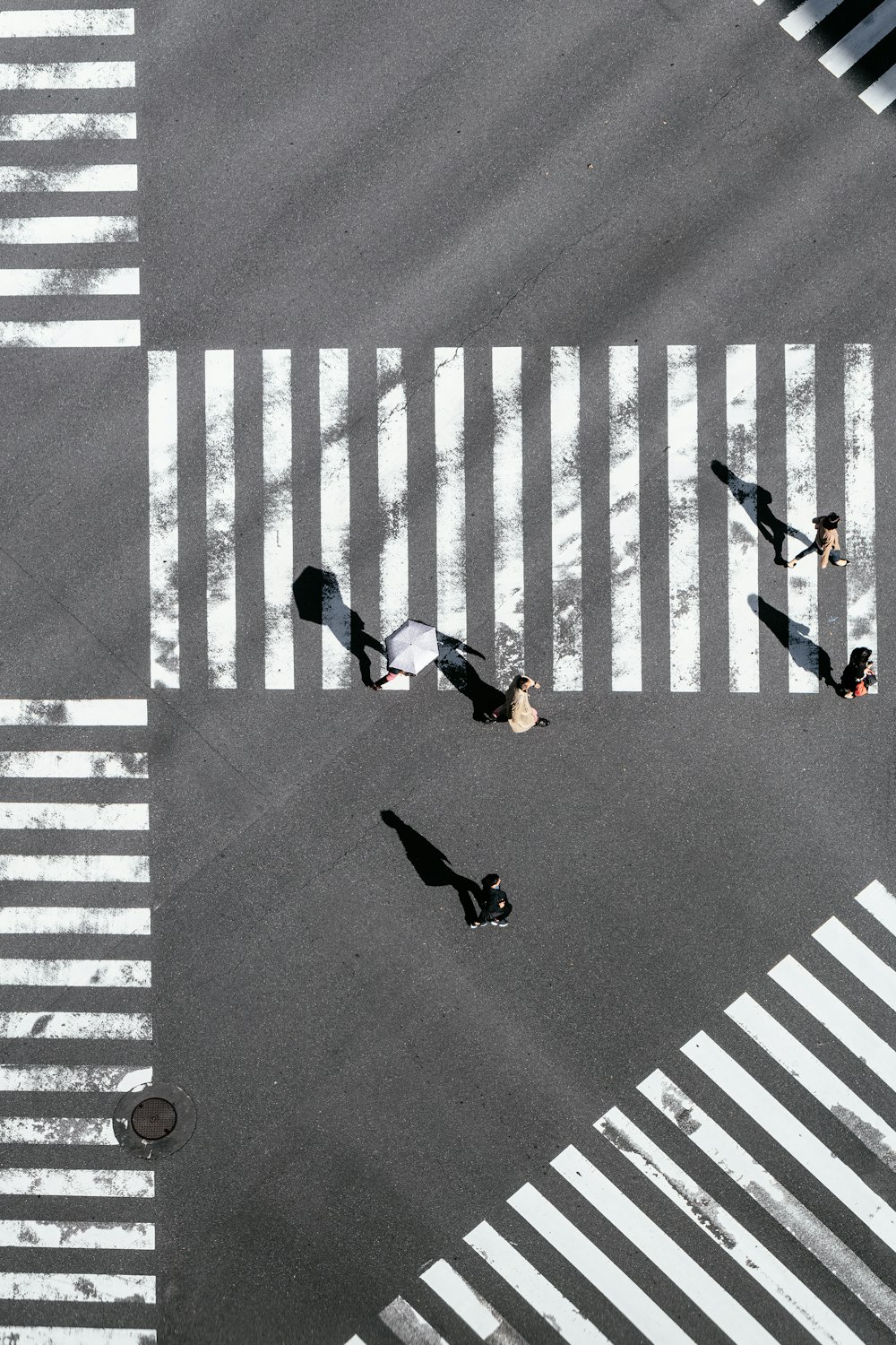 Fotografía a vista de pájaro de personas cruzando la calle