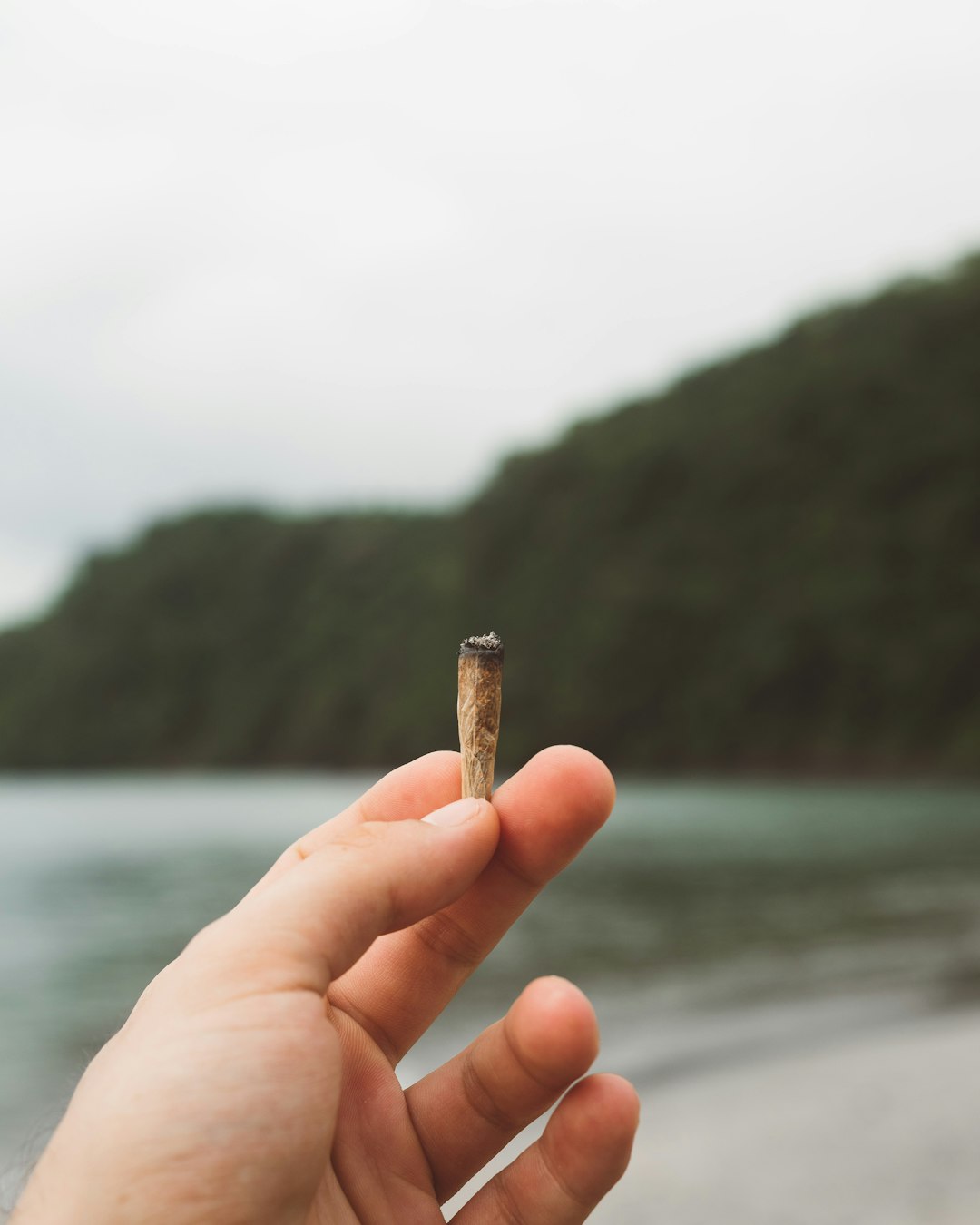 person holding spliff