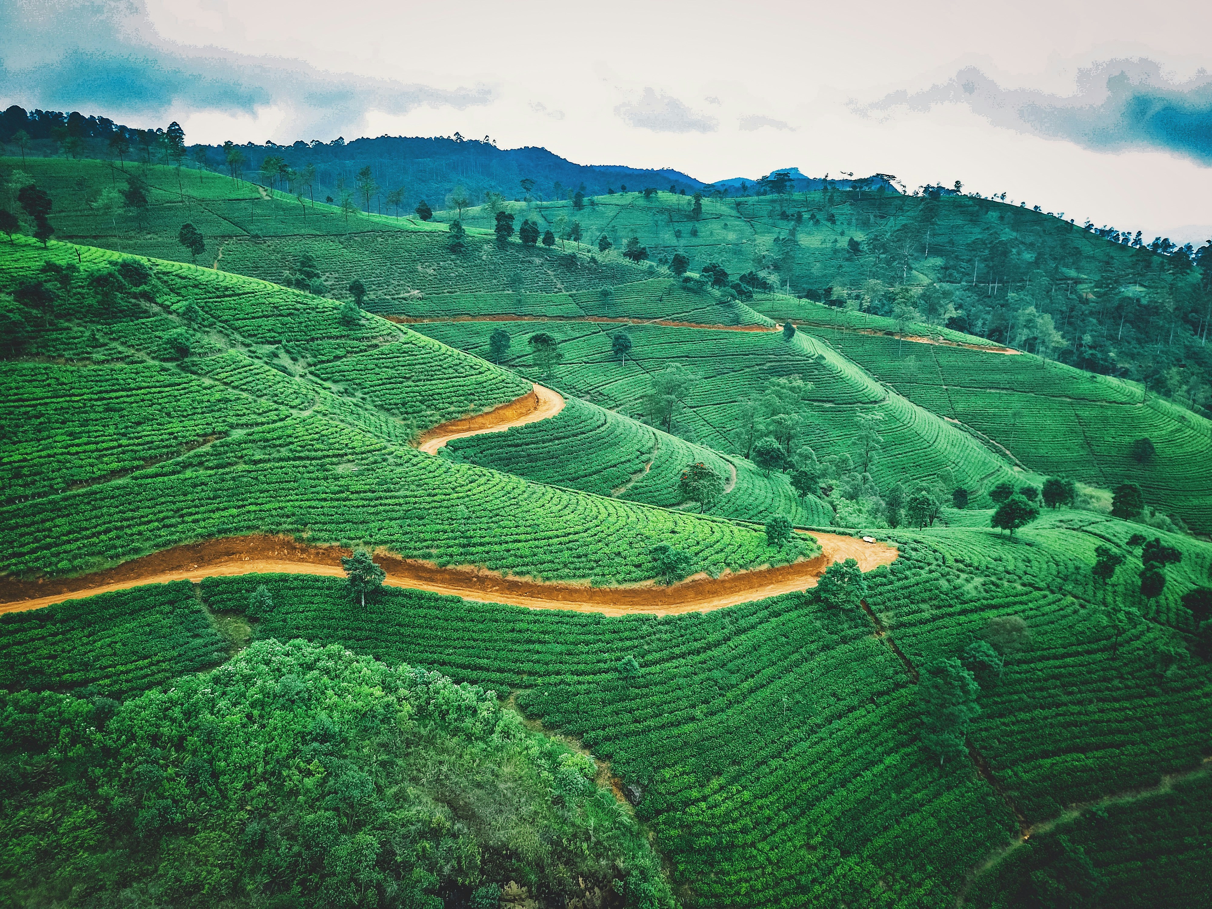 Sri lanka