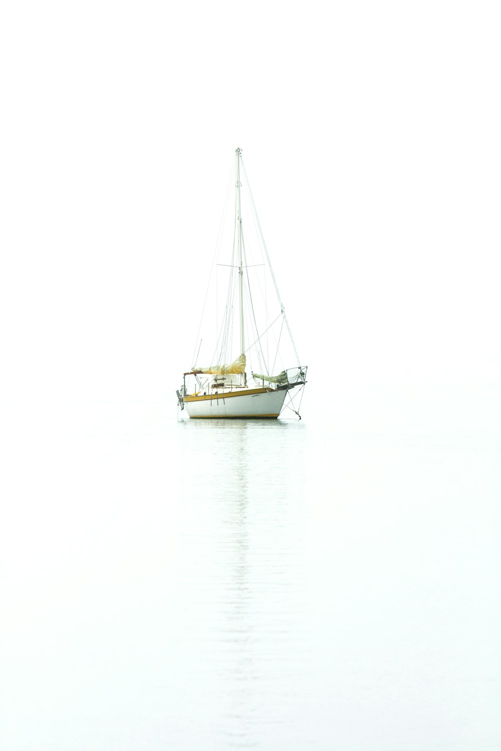 白と茶色のボートの写真