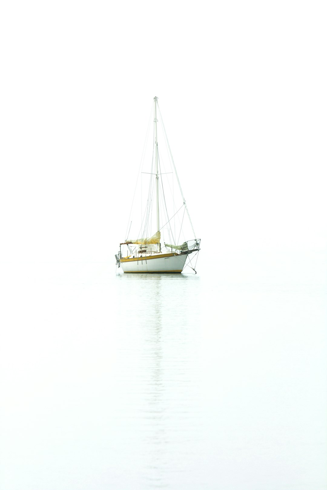 white and brown boat photography