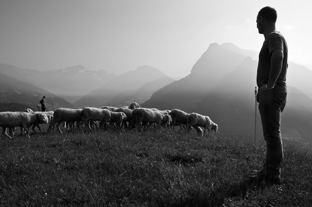 grayscale photo of man in front of animals