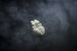 Artistic shot of popcorn kernels popping mid-air against a dark background.